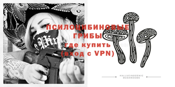 мдпв Армянск
